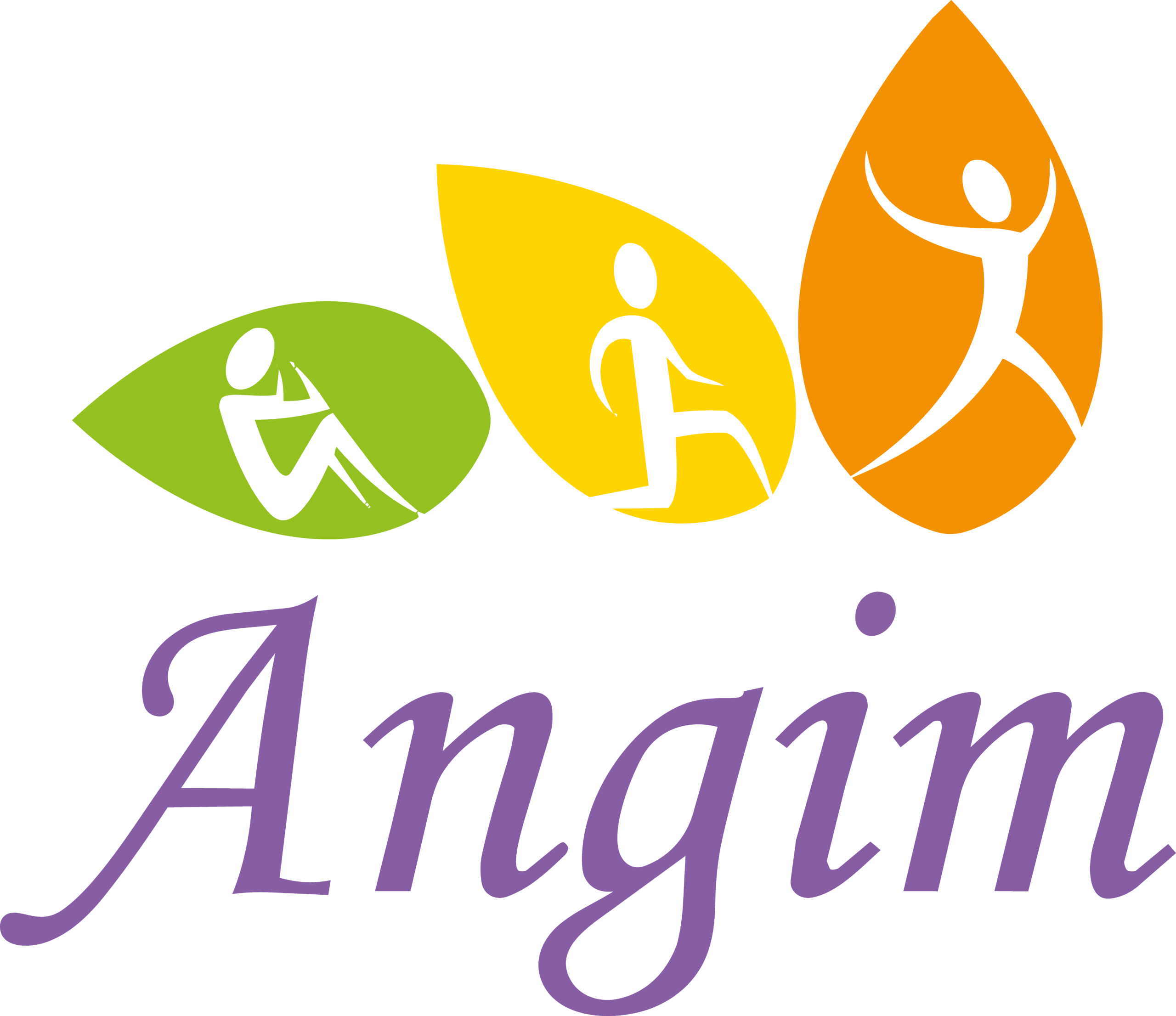 Angim Academy